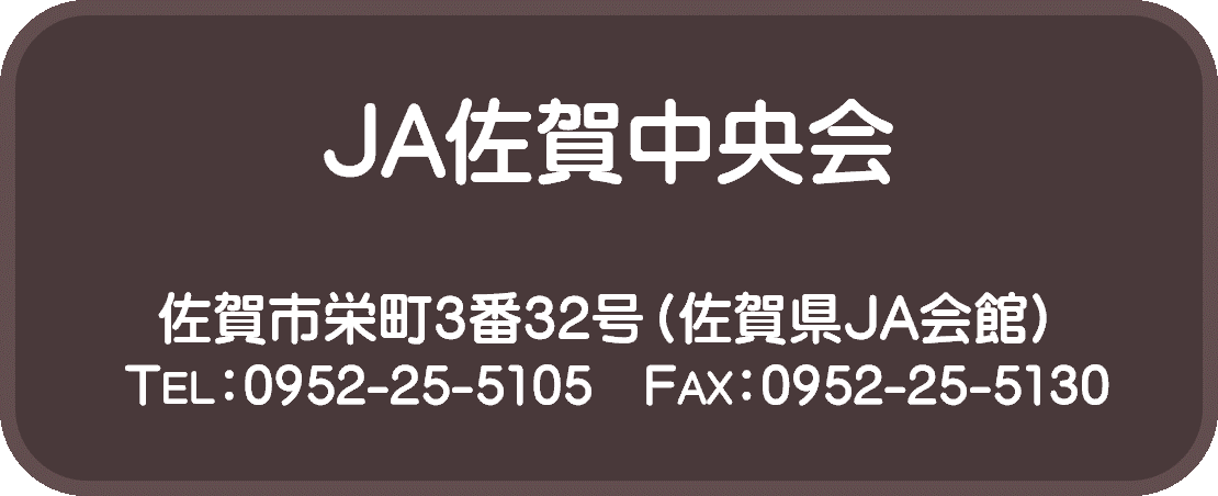 佐賀日中
