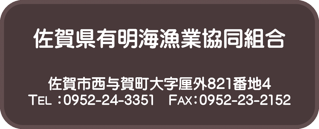 佐賀日中